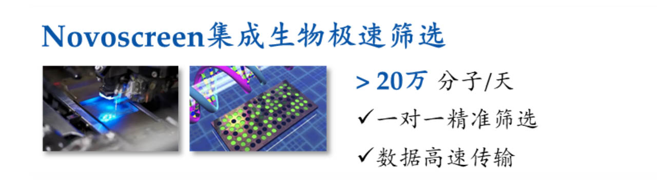 多肽生物芯片